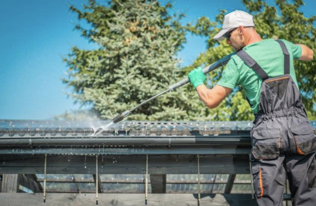 roof cleaning in troy